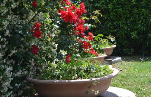 Agriturismo La Ghiraia - Foto 28