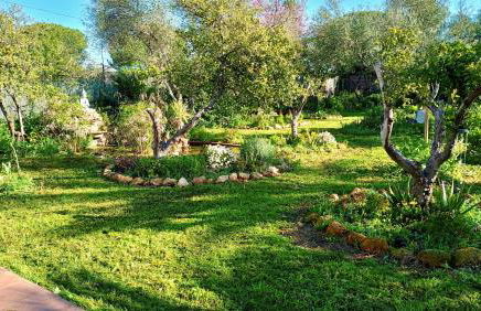 La Casita del Cactus - Casa de campo con piscina - Foto 26