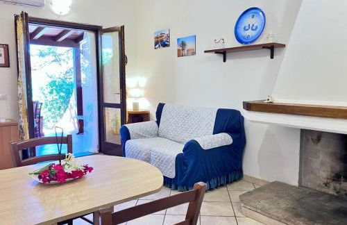 Il ginepro e la lantana - Foto 6