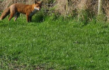 Jerusalem Farm Pods - Foto 23