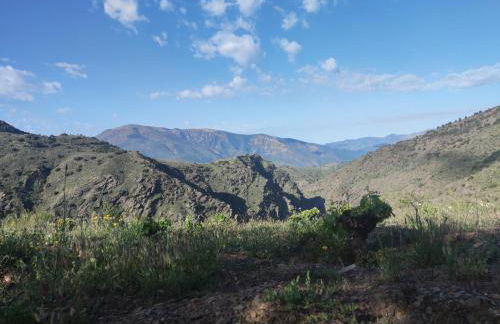 Alojamiento Rural en el corazón de la Alpujarra Granadina-La Almazara - Foto 17