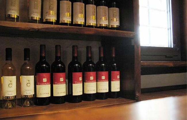 Villa Chiopris - Foto 12