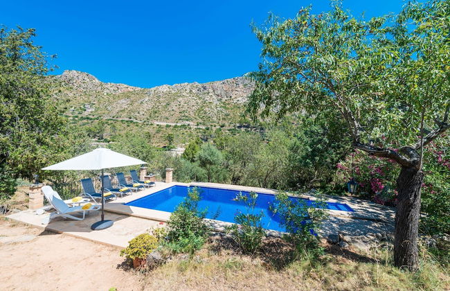 Sa Tarongera in Andratx - Foto 31