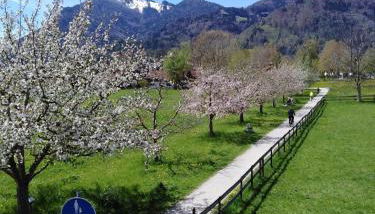 Ferienwohnung Schreiner-Viehhausen - Foto 4