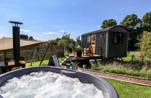 Limetree Luxury Glamping Southdown - Foto 1