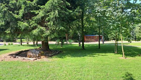 Domki pod Skałą - Foto 4