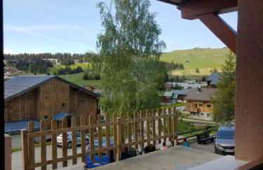 Les Saisies côté Bisanne appartement dans chalet LE Népal - Foto 21