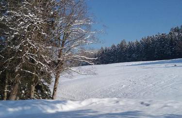 Haus Biggi - Ferienwohnung Säntis - Photo 16