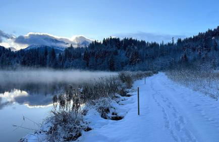 Ferienwohnung Stella - Foto 33