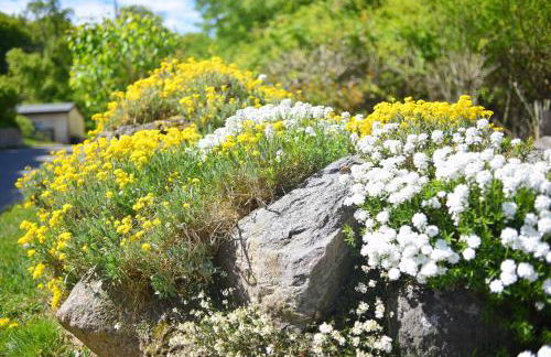 Ferienhaus Uhlenbusch Fewo 2 - Foto 9