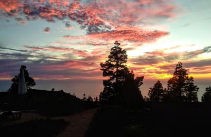 Casa Los Almendros Jacuzzi Garden - Foto 23