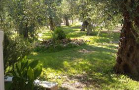 Sunray Separate Villa - Photo 15