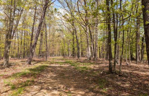 Timber Ridge Retreat - Foto 44