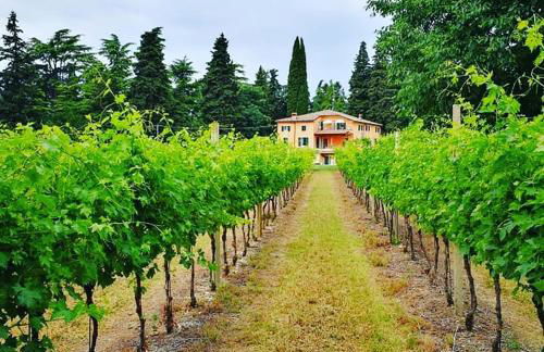 Residenza Eden - Foto 32