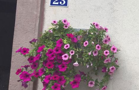 Gîte de la Mésange - Foto 51