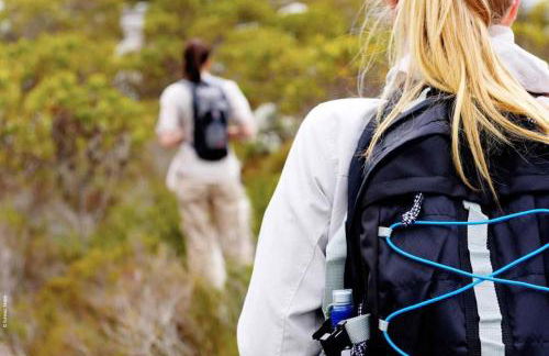 Schloss Stülpe - Foto 15