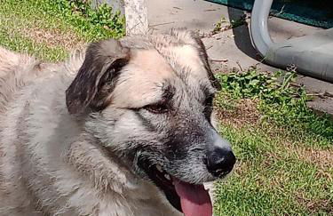 Ferienwohnung Cillien - Foto 10