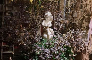 Terra-Crystal - Foto 17