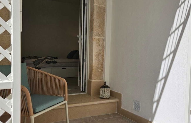 Joivy Dimore Rodiane - U Vucc'l - Foto 20