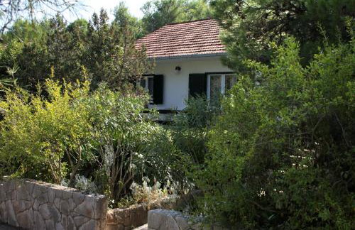 Apartments by the sea Mudri Dolac, Hvar - 4042 - Foto 1