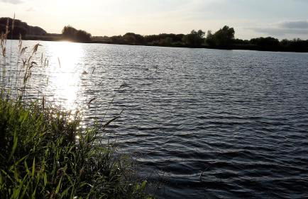 Ferienhäuser Pannier I und oder II - Foto 23