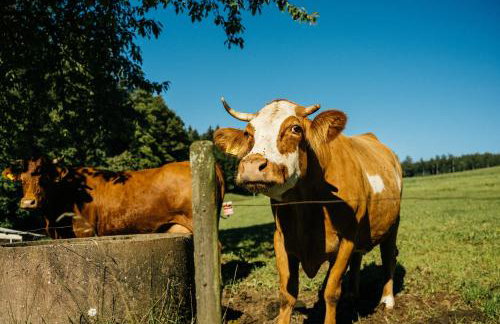 Baschijörgenhof - Foto 75