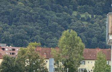 Charmante Wohnung mit kleiner Terasse im Herzen Freiburgs - Foto 24