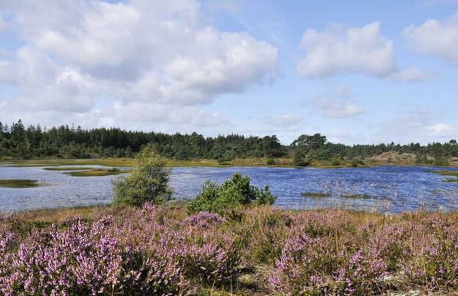 Family Apartment - Near Billund - Foto 22