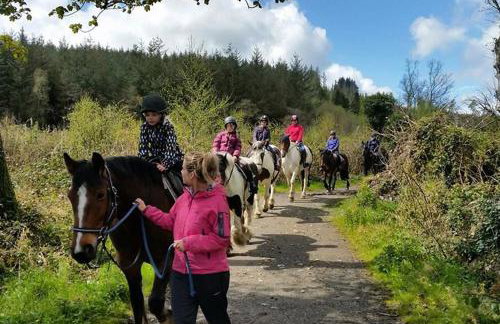 The Downshire Arms Apartments Hilltown - Foto 60