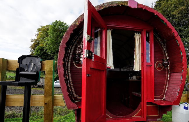 Jura @ Westcote Glamping - Foto 1