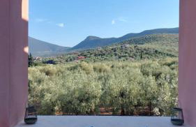 Aelia Stone Houses - Foto 50