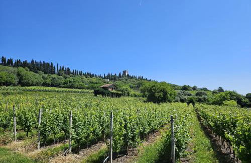 La Vite in Collina Apartment - Foto 12