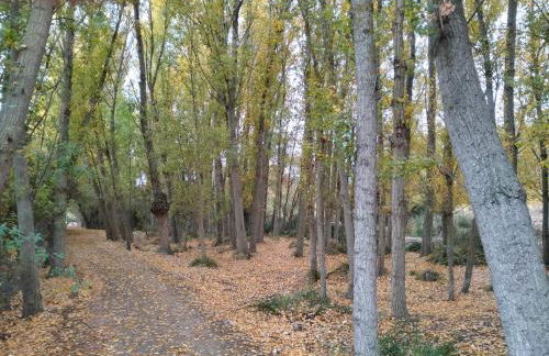 Alojamiento Rural, Cueva de la Abuela - Foto 44