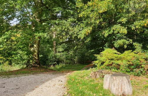 Retraite Paisible au Cœur de la Forêt de Rambouillet avec Étang Privé et Charme Authentique - FR-1-527-8 - Foto 16