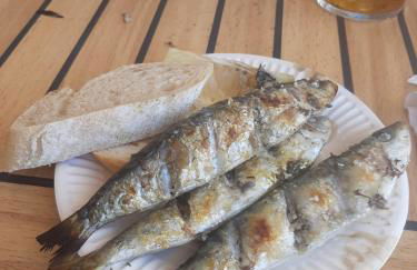 HACIENDA DEL MARQUES III To Chill - Foto 54