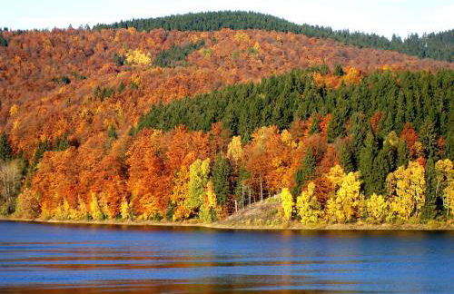 Gästehaus Bündge - Foto 17