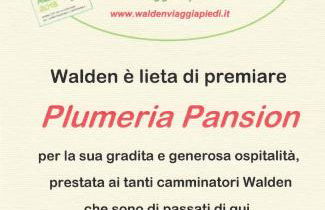 Plumeria Flowery - Foto 4