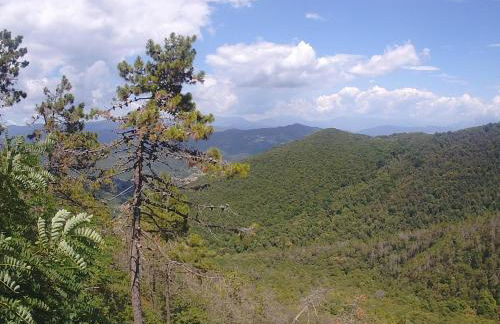 La Cantina Del Sole - Foto 36