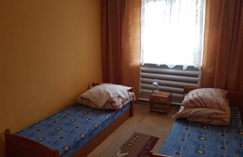 Newland Wójtowicz - Foto 41