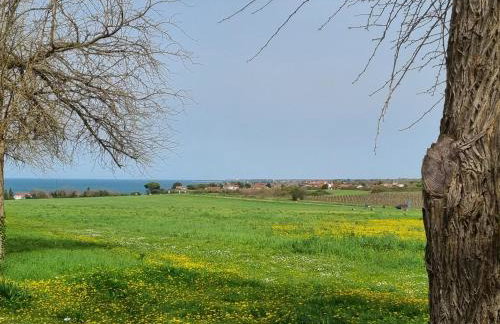 Apartment Bonaca - Photo 10