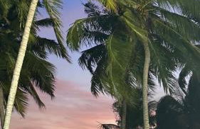 Lindo apartamento 50 metros da praia - Foto 54
