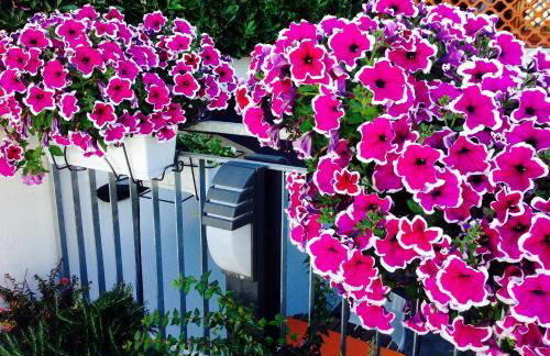 Holiday Home Arzilli - Foto 64