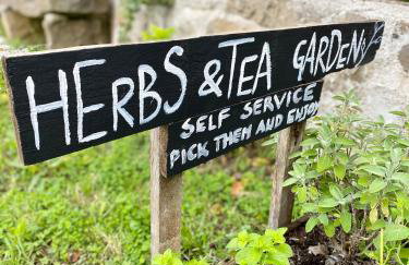 Lucky Home - Apartment Art Grožnjan - Foto 19