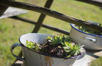 Kaffeehaus Blaslhöhe - Foto 46