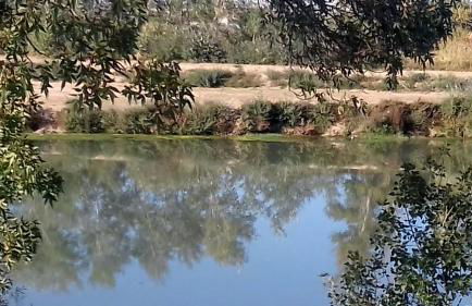 Hospital del Temple Casa Rural - Foto 38