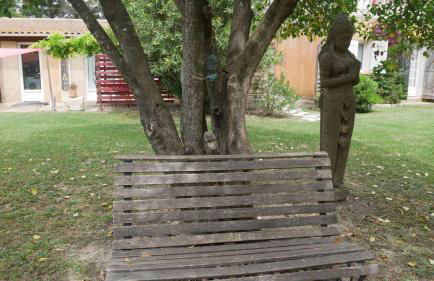 MAS MAURANE-Le Platane avec SPA privé aux portes d'ARLES - Foto 60