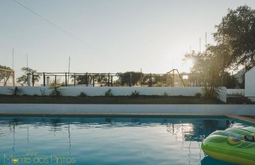 Monte dos Pintos - Foto 37