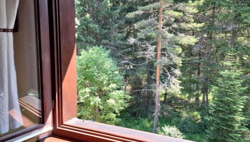 Appartamento Magico Abete by Sunhome Fiemme - Foto 3