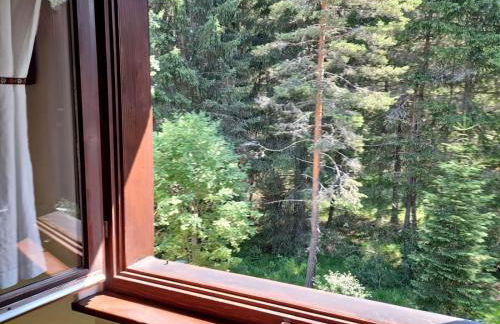 Appartamento Magico Abete by Sunhome Fiemme - Foto 3