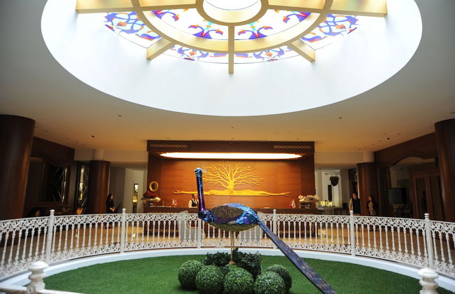 Elits Suits - Foto 33